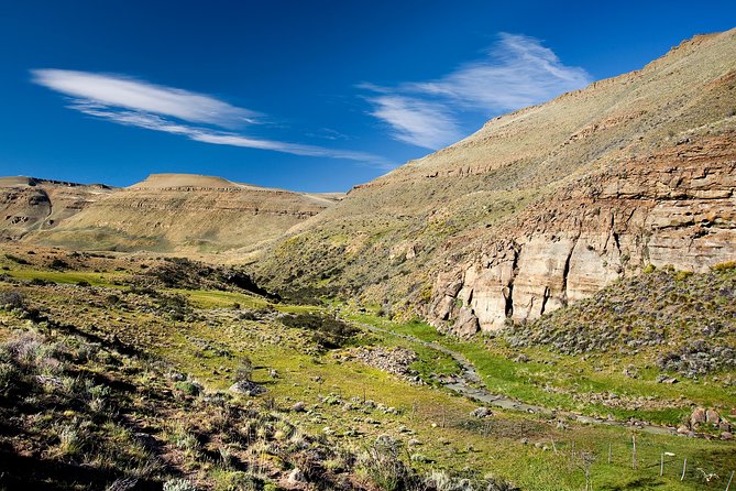 SAFARI EXPERIENCE - WILDLIFE & STEPPE - What the 4x4 adds to the experience