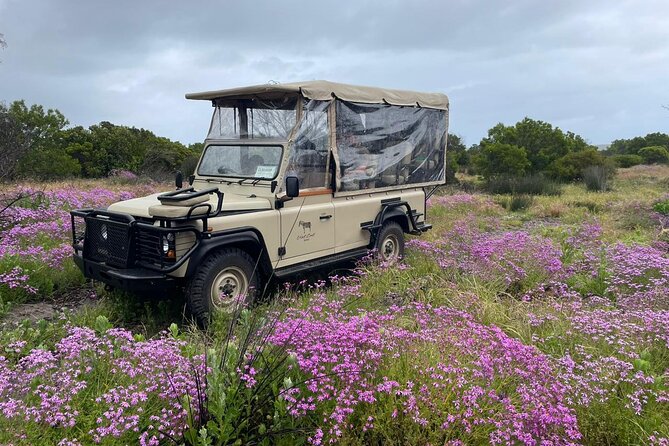 Safari Game Drive - Yzerfontein - Practical details that affect your day