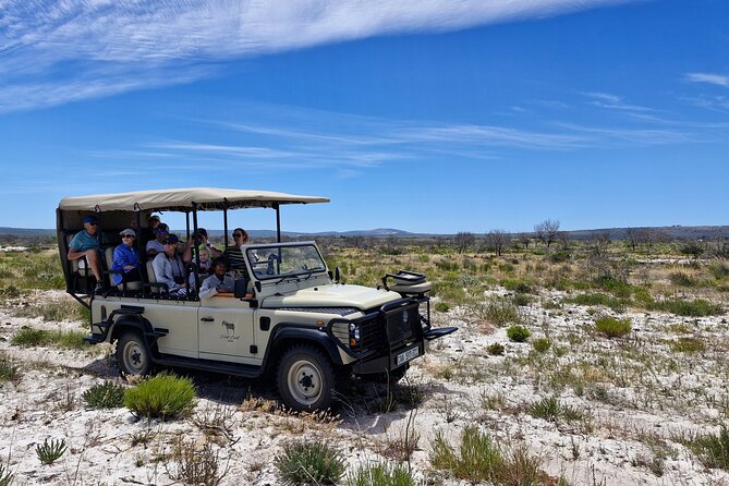 Safari Game Drive - Yzerfontein - Starting at the padstal on the R27