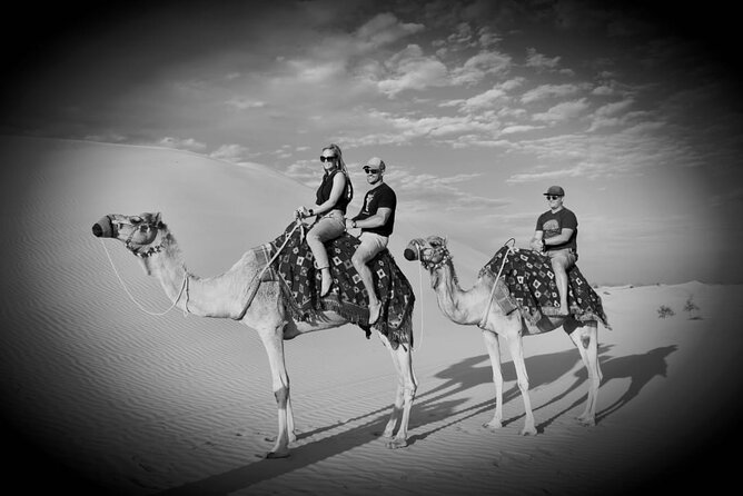 Safari Half-Day Adventure from Abu Dhabi - From Abu Dhabi streets to Al Khatim dunes