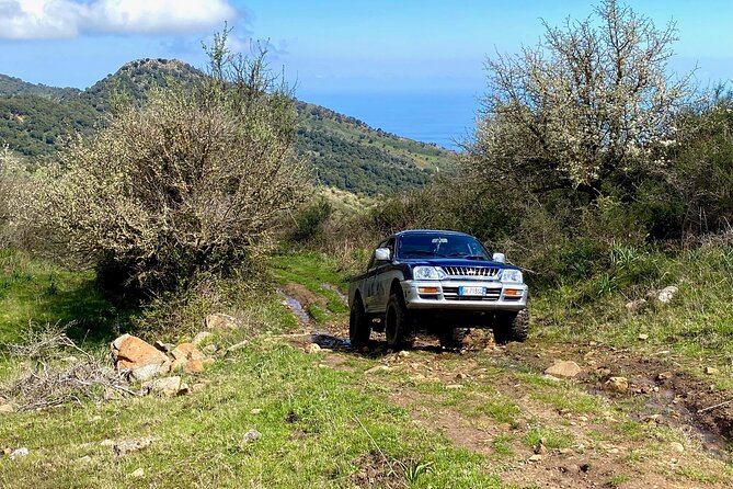 Safari Jeep Wild Adventure - What the Off-Road Route Really Offers