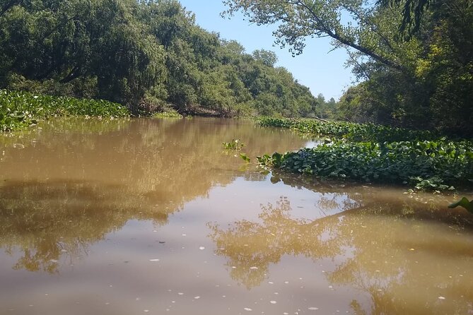 Safari náutico en tigre - Why Tigre makes a good escape from Buenos Aires