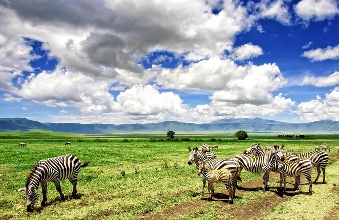 Safari Serengeti And Ngorongoro - Key Points at a Glance