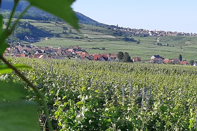 Safari-Tour Villages and vineyard, 1/2 day afternoon - Eguisheim: 45 minutes inside a wine village