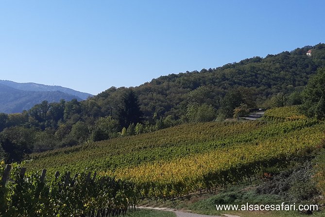 Safari-Tour Villages and vineyard, 1/2 day afternoon - The castle question, and how to plan around it