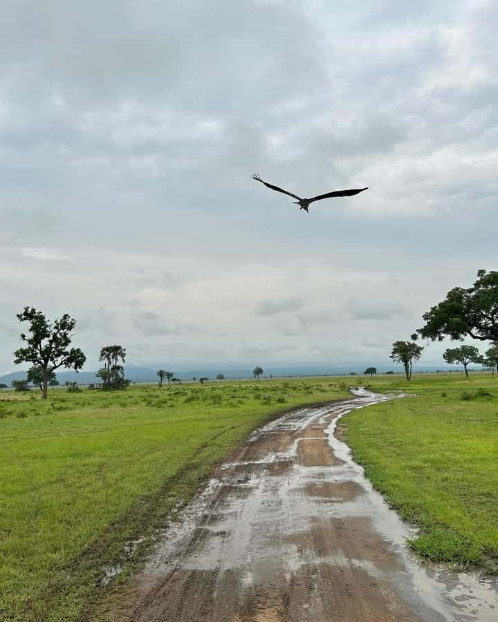 SAFARI WILDLIFE 3 DAYS 2 NIGHT FROM ZANZIBAR TO MIKUMI - Day one: ferry, railway, Morogoro, and the Maasai village