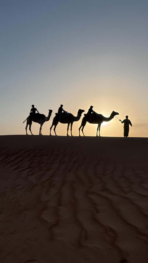 Safari World Zoo and Wahiba Sands with Sunset - Entering Wahiba Sands by 4x4