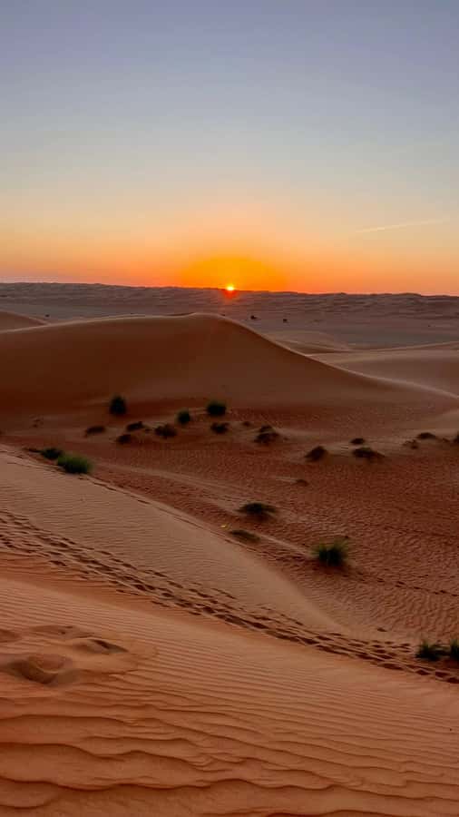 Safari World Zoo and Wahiba Sands with Sunset - Is the $100 price good value?