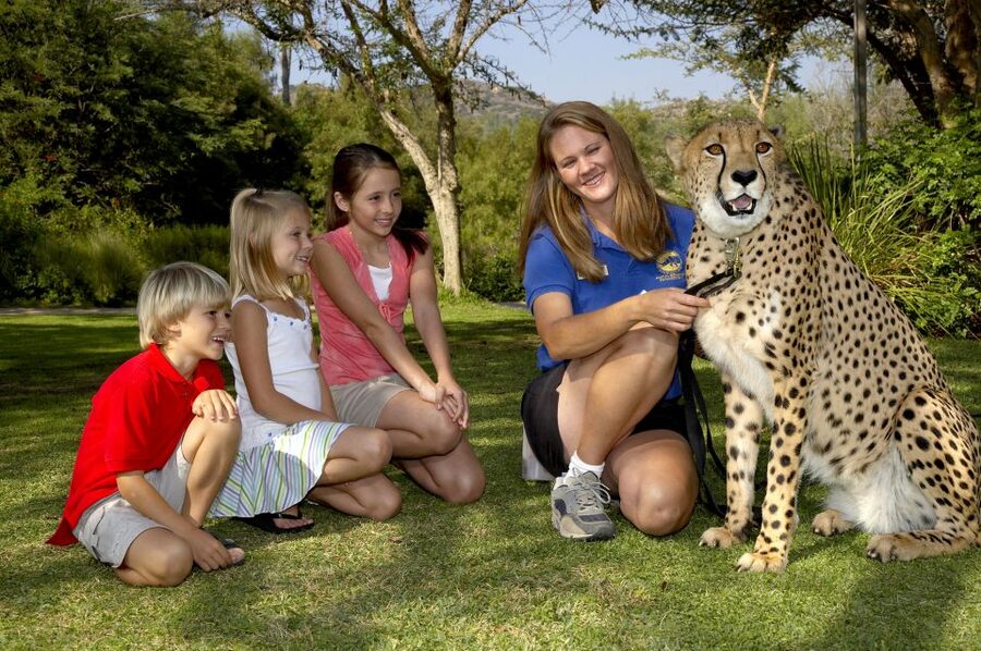 San Diego: San Diego Zoo Safari Park 1-Day Ticket - Key points to know before you go
