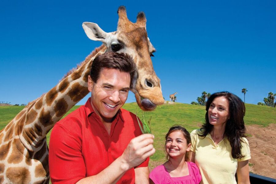 San Diego: San Diego Zoo Safari Park 1-Day Ticket - Why this feels different from the San Diego Zoo