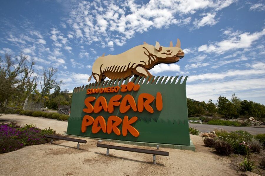 San Diego: San Diego Zoo Safari Park 1-Day Ticket - Africa Tram: the best first ride