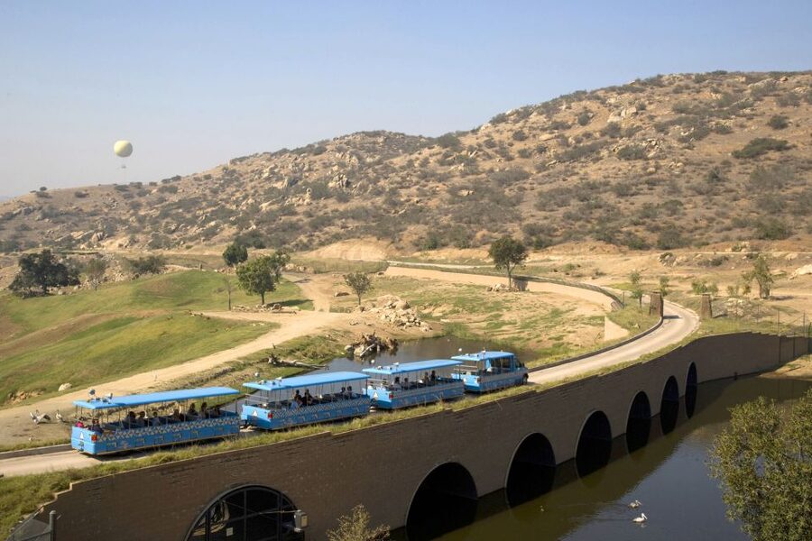 San Diego: San Diego Zoo Safari Park 1-Day Ticket - Lion Camp and Cheetah Run