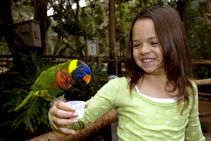 San Diego: San Diego Zoo Safari Park 1-Day Ticket - Heart of Africa and the Elephant Overlook