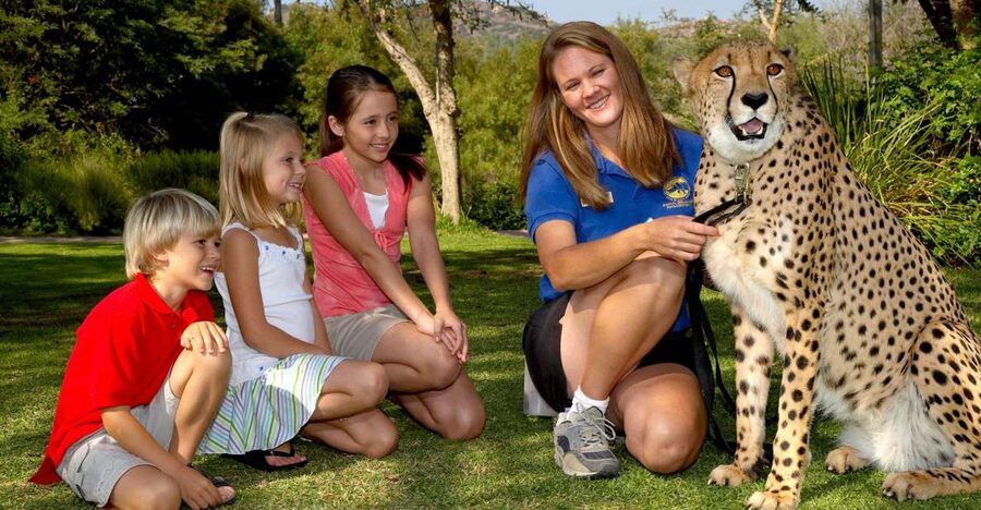 San Diego: San Diego Zoo Safari Park 1-Day Ticket - Birds, butterflies, and smaller discoveries