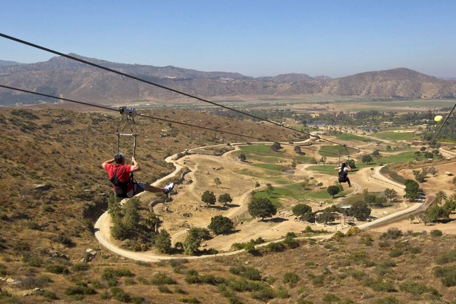 San Diego: San Diego Zoo Safari Park 1-Day Ticket - Condor Ridge and conservation in plain sight