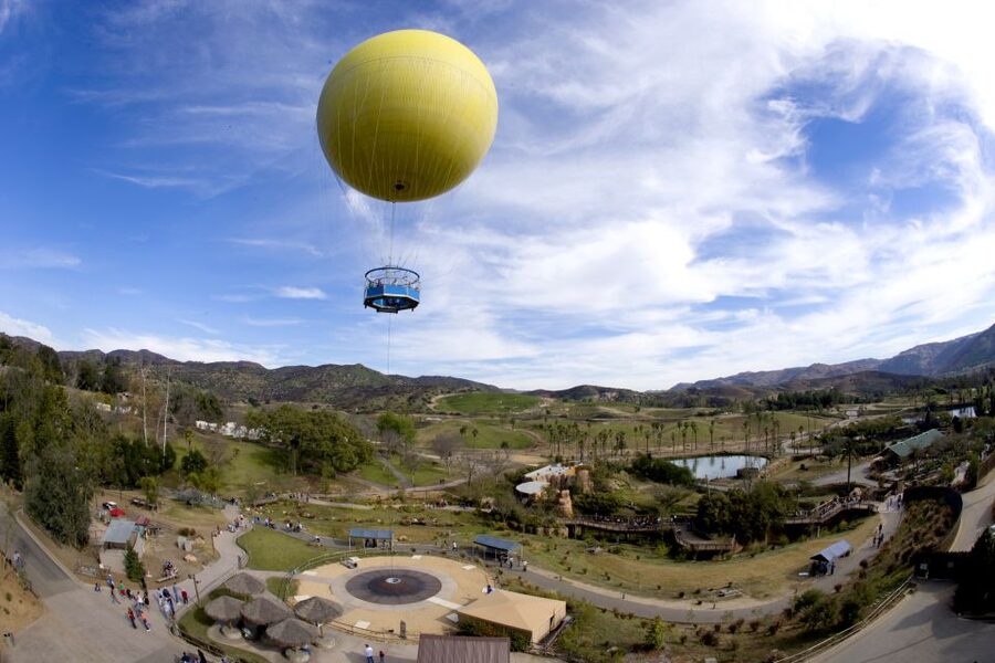 San Diego: San Diego Zoo Safari Park 1-Day Ticket - Start early at the entrance