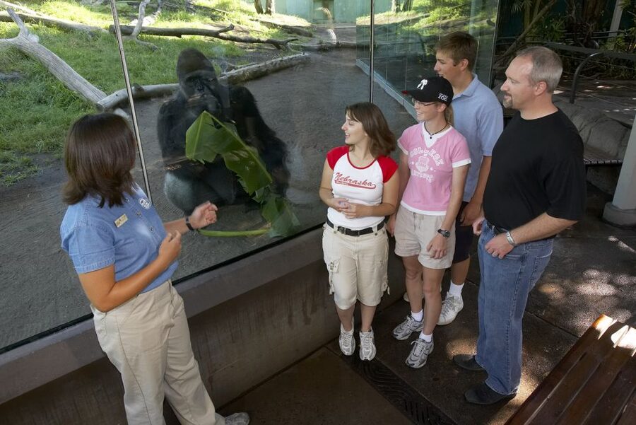 San Diego Zoo and Safari Park: 2-Day Entry Ticket - Key Points to Know Before You Go