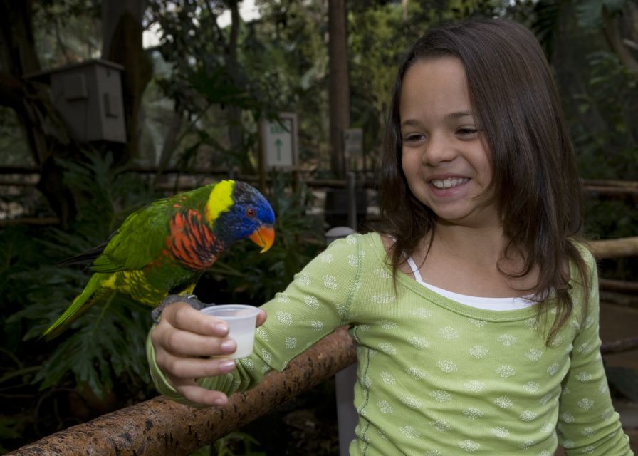 San Diego Zoo and Safari Park: 2-Day Entry Ticket - How the Two Parks Work Together