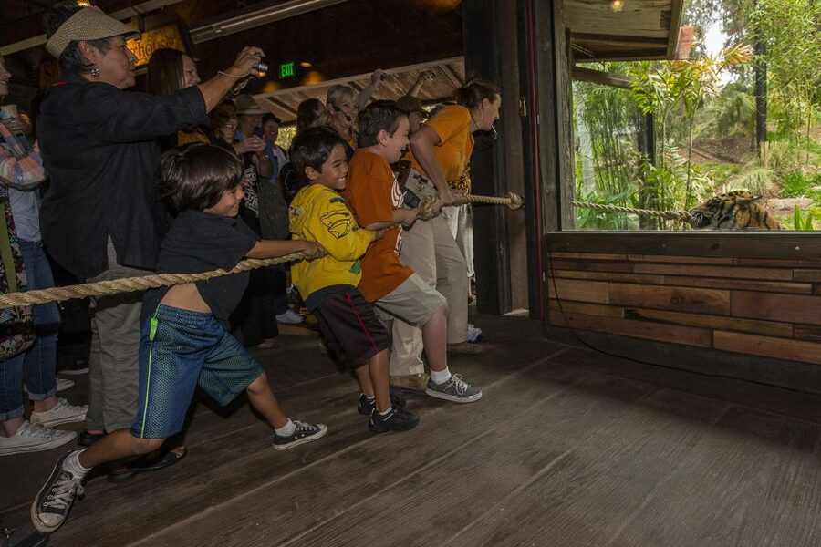 San Diego Zoo and Safari Park: 2-Day Entry Ticket - Making the Most of the Safari Park