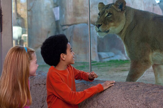 San Diego Zoo Safari Park 1-Day Pass: Any Day Ticket - Starting at the 1,800-acre park