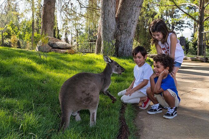 San Diego Zoo Safari Park 1-Day Pass: Any Day Ticket - Africa exhibits, watering holes, and wide views