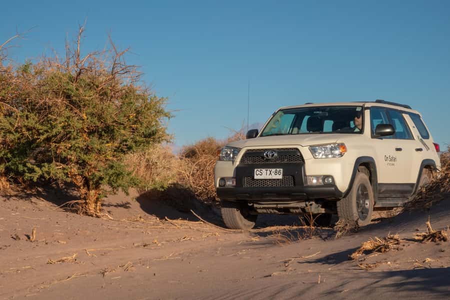 San Pedro de Atacama: Wildlife Safari and Photography Tour - The Putana Vade lookout and the wide view