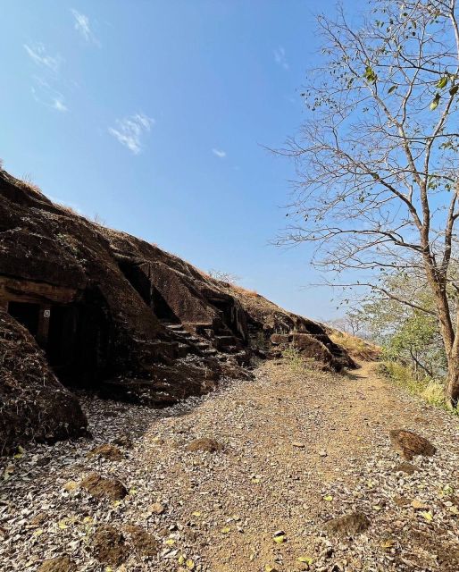 Sanjay Gandhi National Park + Kenheri Caves + Lion Safari - Key Points Before You Book