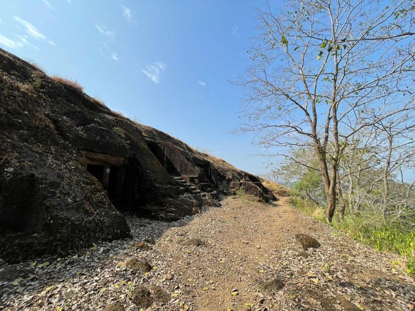 Sanjay Gandhi National Park + Kenheri Caves + Lion Safari - River Boat and Vipassana Pagoda