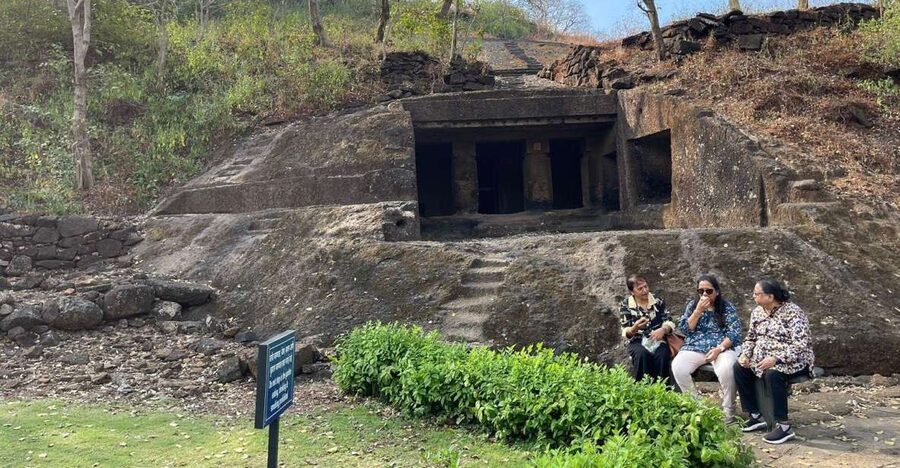Sanjay Gandhi National Park + Kenheri Caves + Lion Safari - What the Guides Add