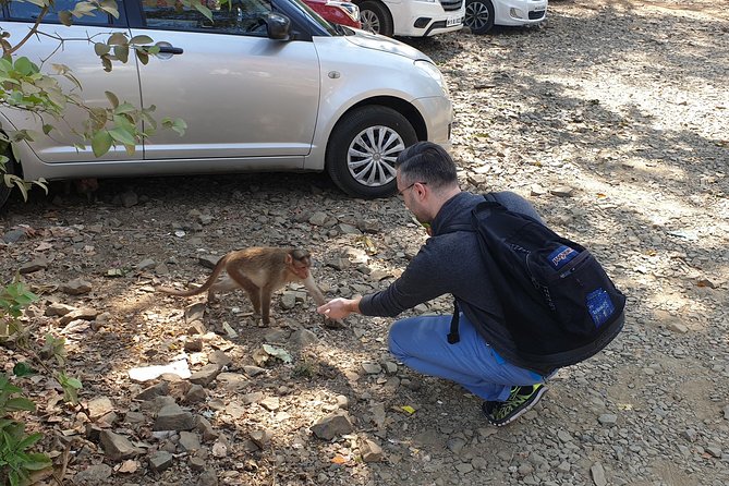 Sanjay Gandhi National Park(SGNP) + Kenheri Caves + Lion Safari + Jain Temple - Who should book this experience?