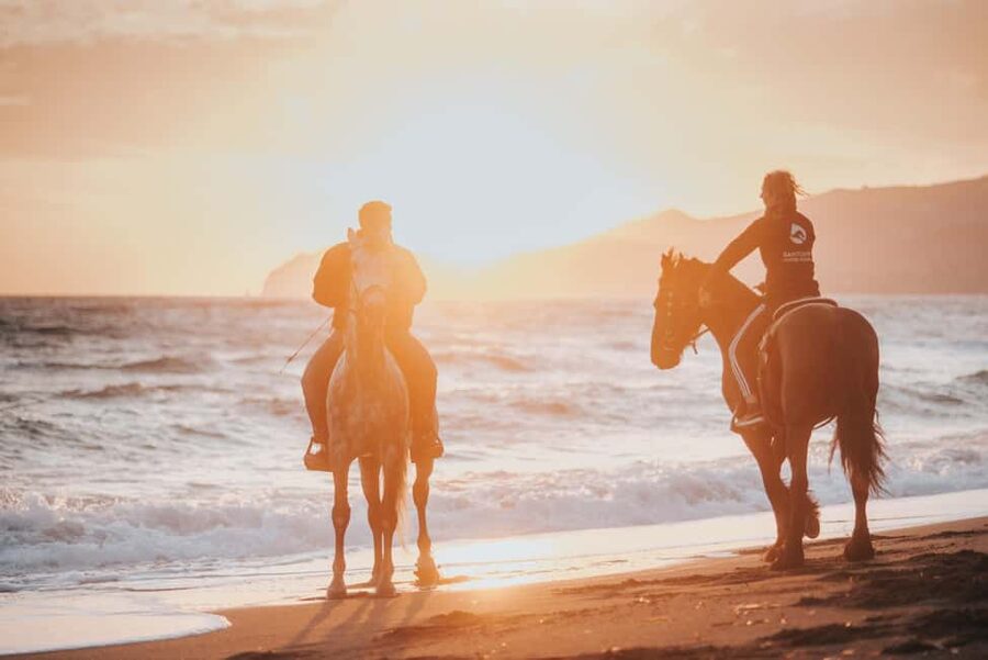 Santorini: Extreme Horse Safari with Beach Gallop - Key points at a glance
