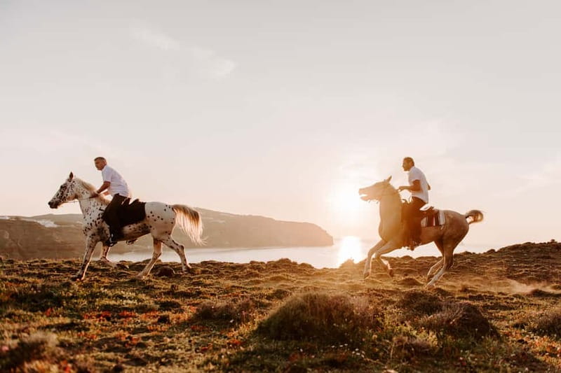 Santorini: Extreme Horse Safari with Beach Gallop - What the horses and guides add