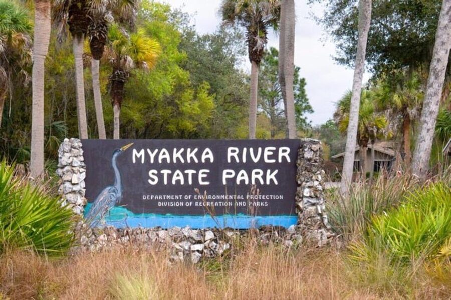 Sarasota: Myakka State Park E-bike Safari Experience - Wetlands, prairies, and Florida wildlife