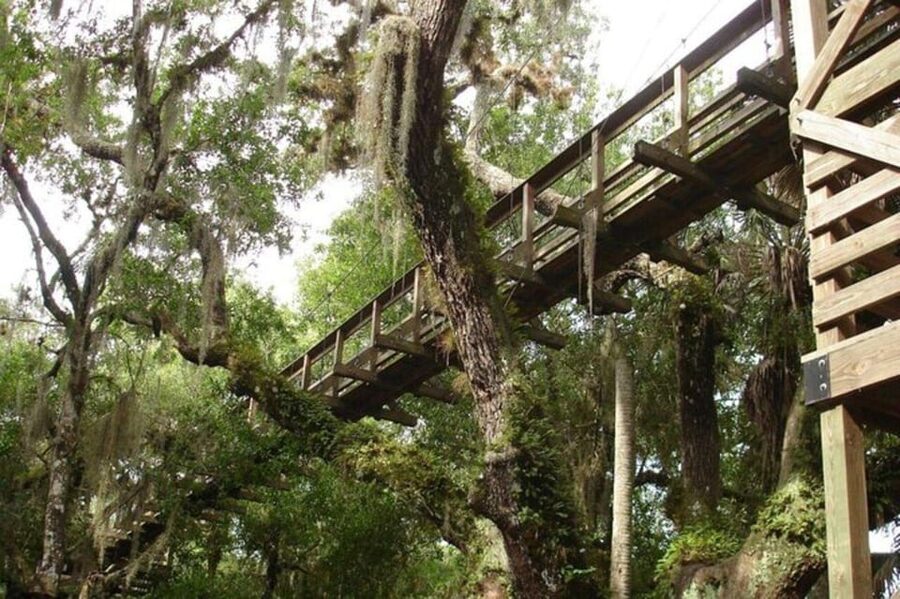 Sarasota: Myakka State Park E-bike Safari Experience - Photos included with the tour