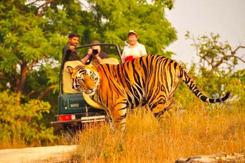 Sawai Madhopur: Ranthambore National Park Guided Jeep Safari - Entering Ranthambore from Sawai Madhopur