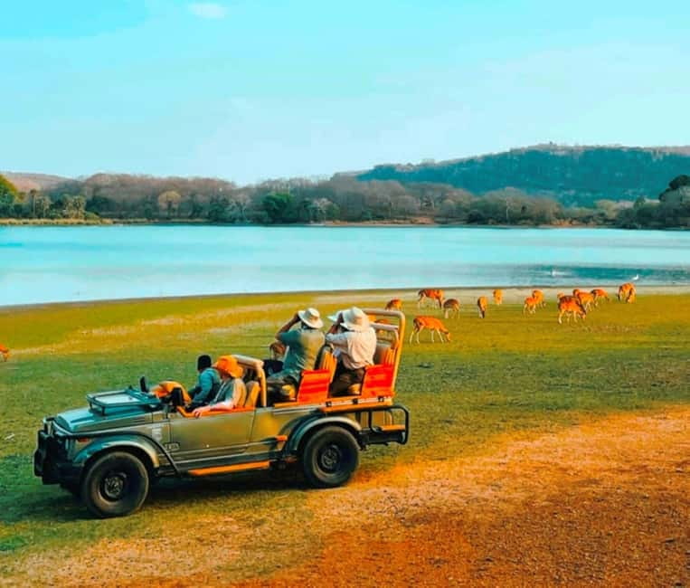 Sawai Madhopur: Ranthambore National Park Guided Jeep Safari - Pickup, meeting point, and return details