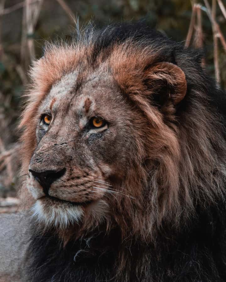 Schotia Private Game Reserve Safari - Leaving Port Elizabeth for the Eastern Cape Bush