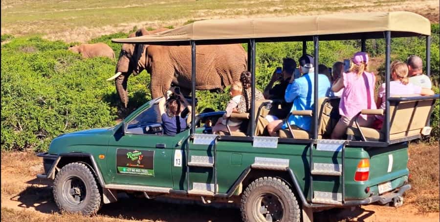 Schotia Safaris: Best Wildlife Encounters in Port Elizabeth - Schotia Safaris at a glance