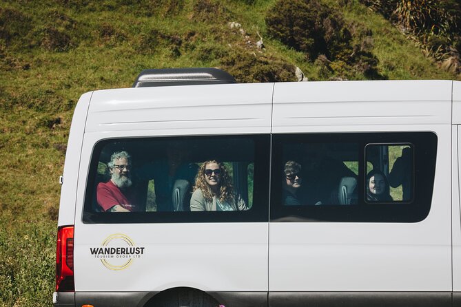 Seal Coast Safari - Exclusive access to Wellington's secret coast - Why this half-day trip feels different