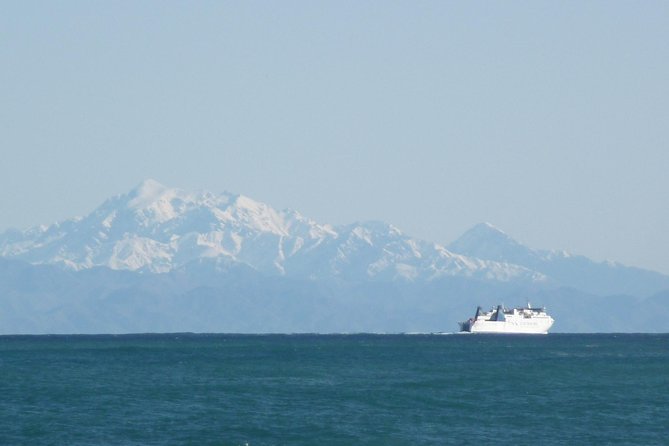 Seal Coast Safari - Exclusive access to Wellington's secret coast - The descent to Cape Terawhiti
