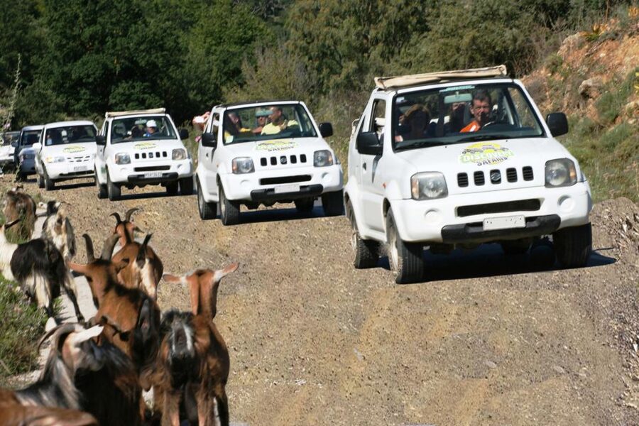 Self-Drive Jeep Safari to South Coast, Palm Beach & Canyons - What $94 buys you