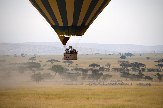 Serengeti Balloon Safari and authentic bush breakfast - Wildlife from above: beautiful, but not guaranteed
