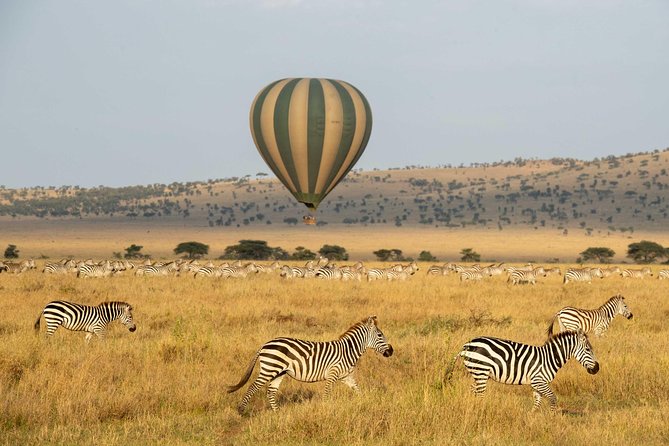 Serengeti Balloon Safari and authentic bush breakfast - Safety, comfort, and the pilots