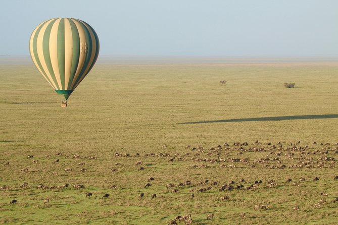 Serengeti Balloon Safari and authentic bush breakfast - Booking timing and cancellation rules