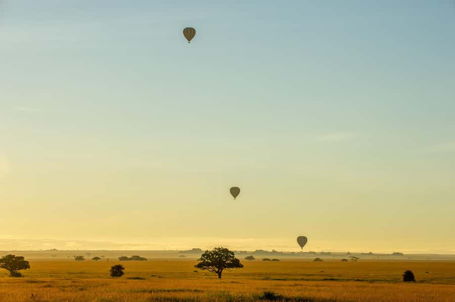 Serengeti National Park: Balloon Safari at Dawn - Who will enjoy this most