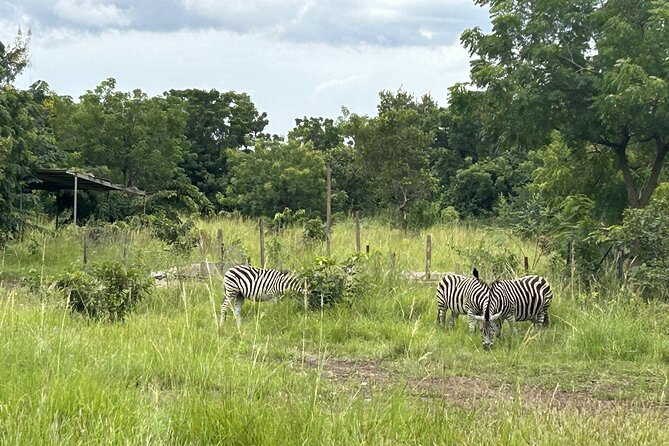 Shai Hills Safari - Hike & See Animals - Birdwatching adds another layer
