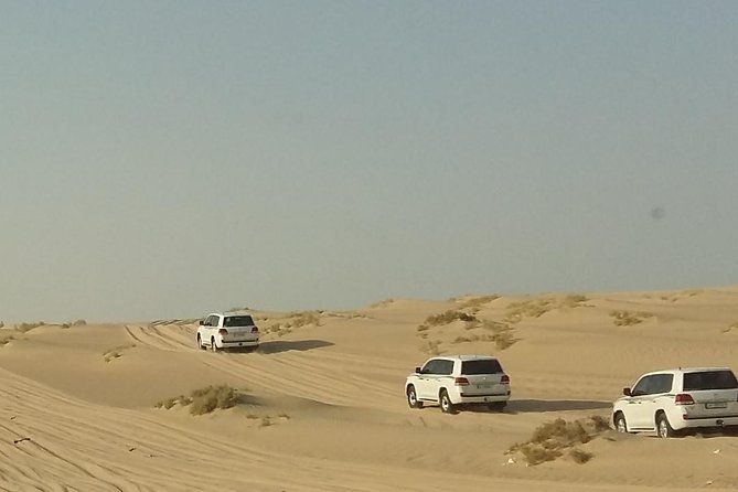 Sharing or Private Safari, Sand Boarding, Camel Ride, inland Sea Quick swim - From Doha to Mesaieed and the southern desert