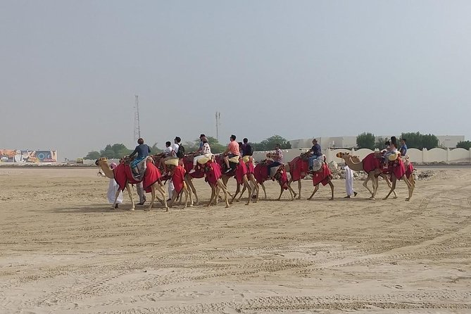 Sharing or Private Safari, Sand Boarding, Camel Ride, inland Sea Quick swim - The guides are a major part of the experience