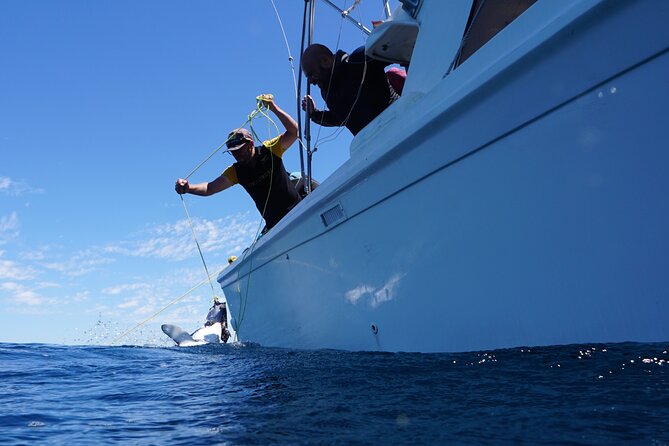 Shark Safari & Snorkel Adventure in Cabo San Lucas - Is $203.12 a fair price?