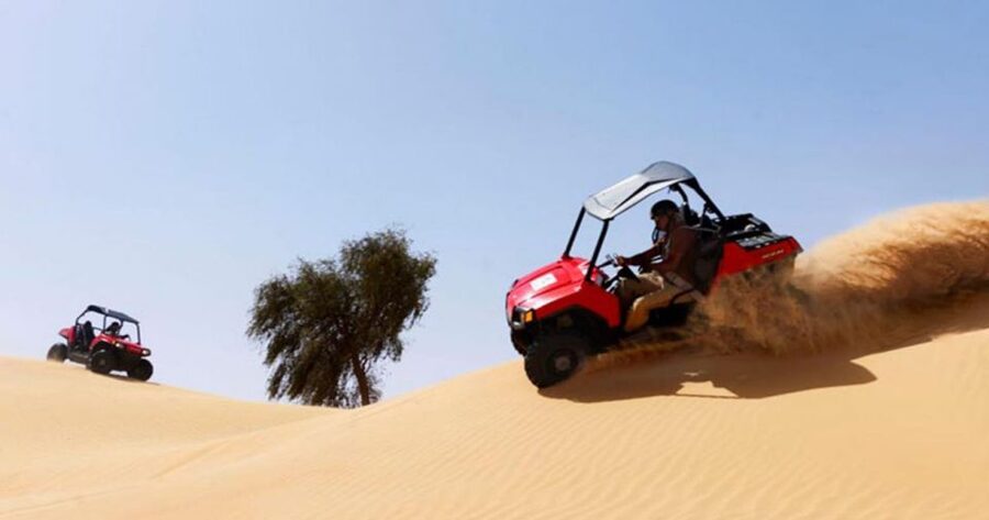 Sharm El-Sheikh: Desert Buggy Safari Adventure - Should you book the Sharm El-Sheikh buggy safari?